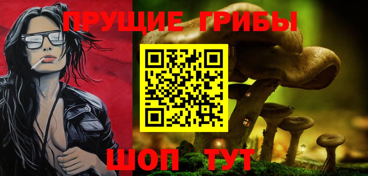 Галлюциногенные грибы Psilocybe Вышний Волочёк