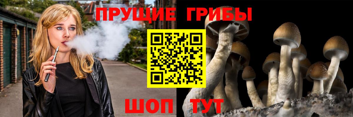 Вышний Волочёк  Псилоцибиновые грибы GOLDEN TEACHER  Вход с VPN 
